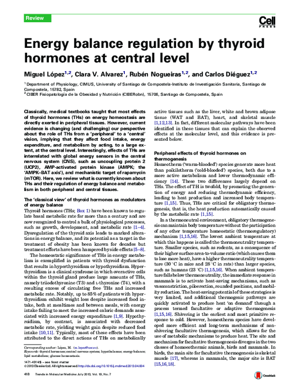 (PDF) Energy balance regulation by thyroid hormones at central level