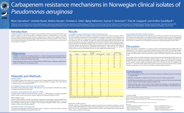 (PDF) P867 Carbapenem resistance mechanisms in Norwegian clinical ...