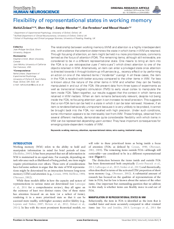 (PDF) Flexibility of representational states in working memory