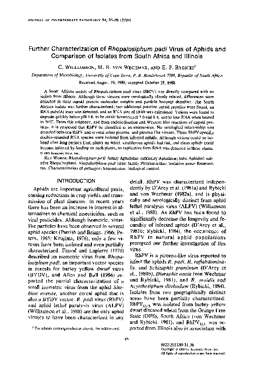 (PDF) Further characterization of Rhopalosiphum padi virus of aphids ...