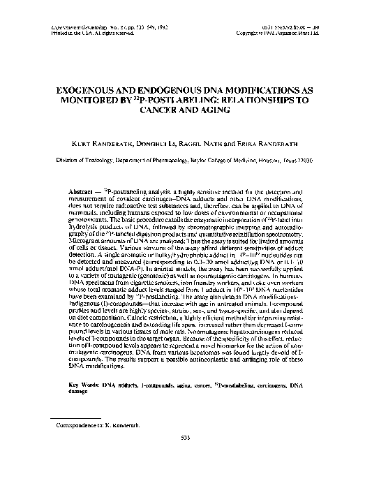 Endogenetic process essay 03 picture
