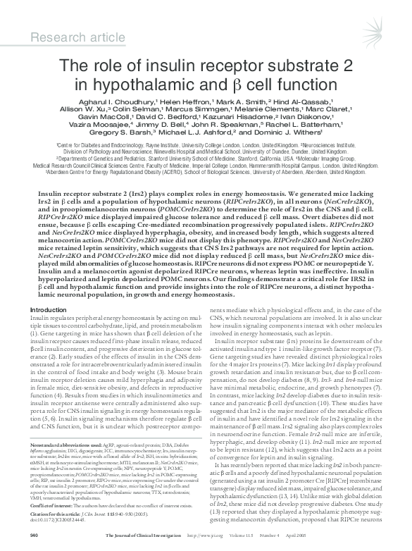 (PDF) The role of insulin receptor substrate 2 in hypothalamic and β ...