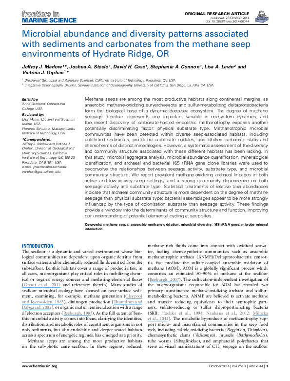 Arch fingerprint image