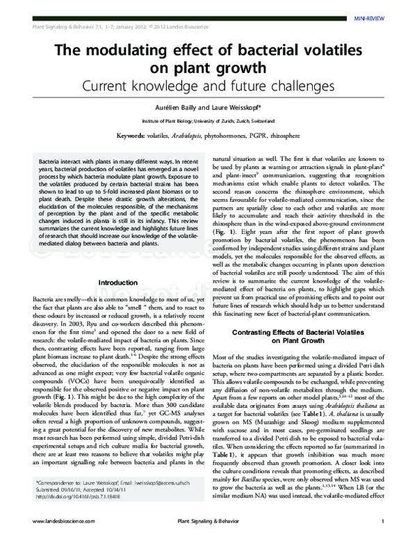 (PDF) The modulating effect of bacterial volatiles on plant growth ...