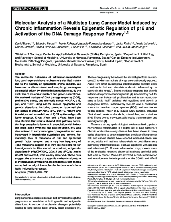 (PDF) Molecular analysis of a multistep lung cancer model induced by ...