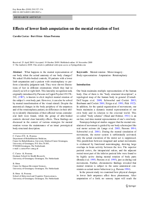 Coglab mental rotation summary essay 08 image