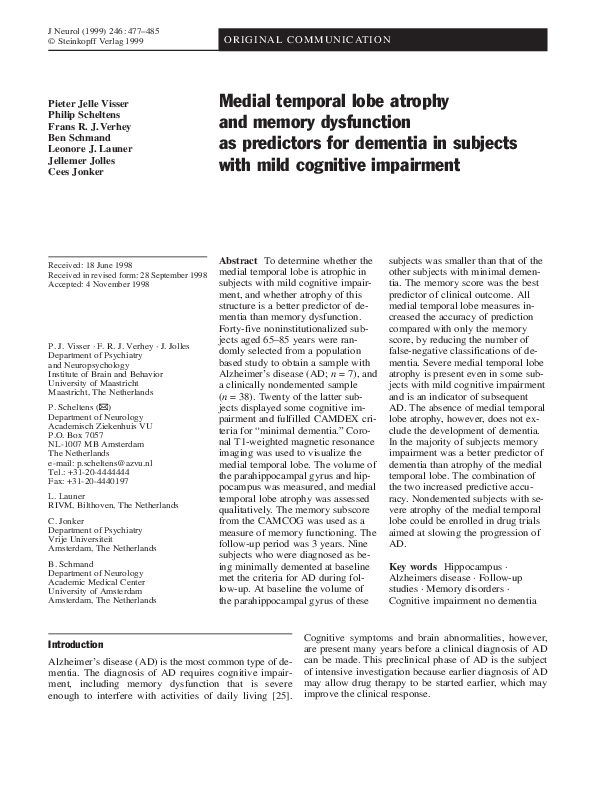 Temporal lobe structure image