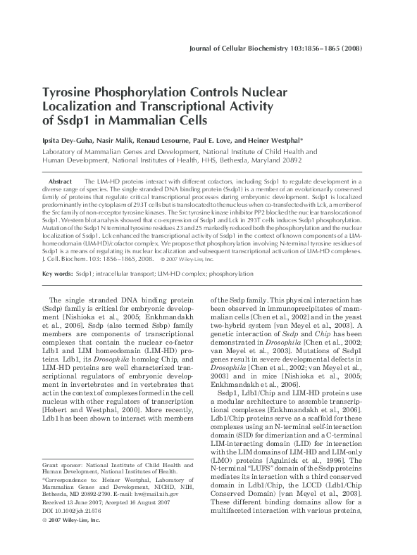 (PDF) Tyrosine phosphorylation controls nuclear localization and ...