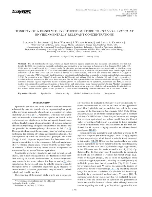 Who conquered the aztecs picture