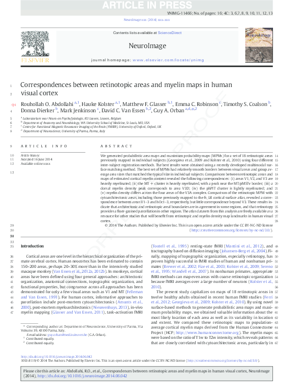 (PDF) Correspondences between retinotopic areas and myelin maps in ...