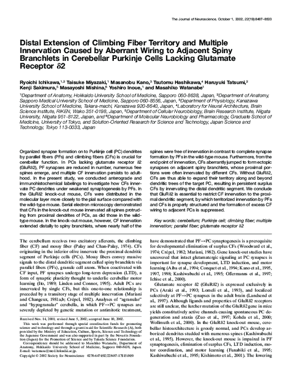 (PDF) Distal extension of climbing fiber territory and multiple ...