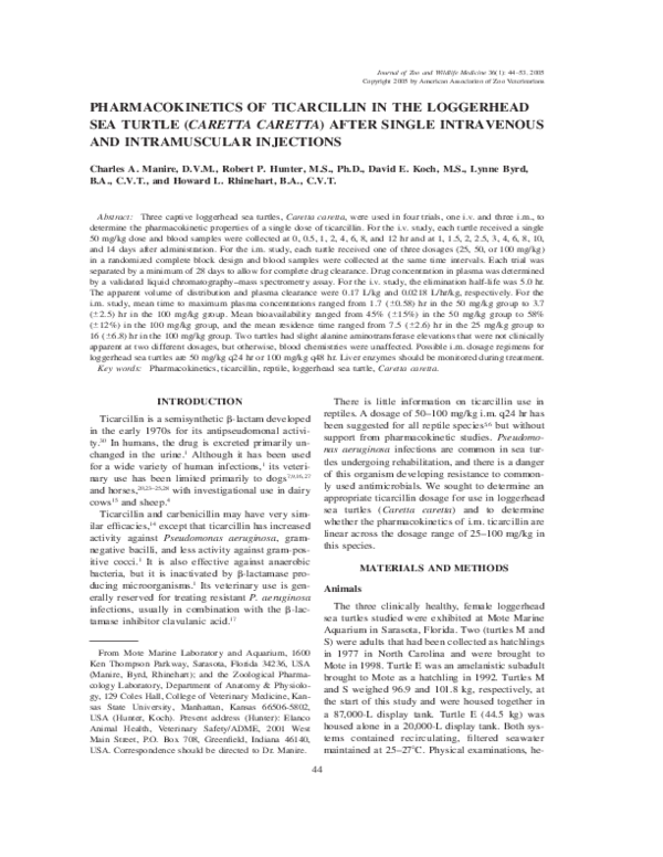 (PDF) Pharmacokinetics of Ticarcillin in the Loggerhead Sea Turtle ...