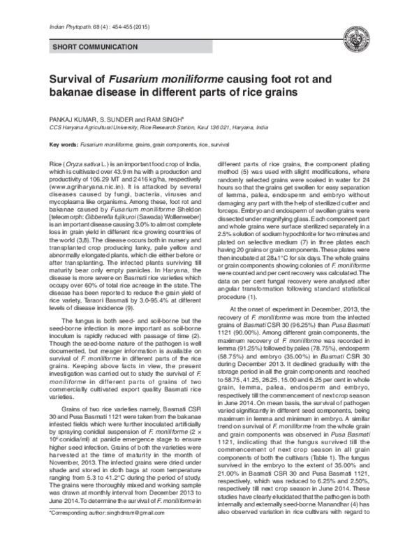 (PDF) Survival of Fusarium moniliforme causing foot rot and bakanae