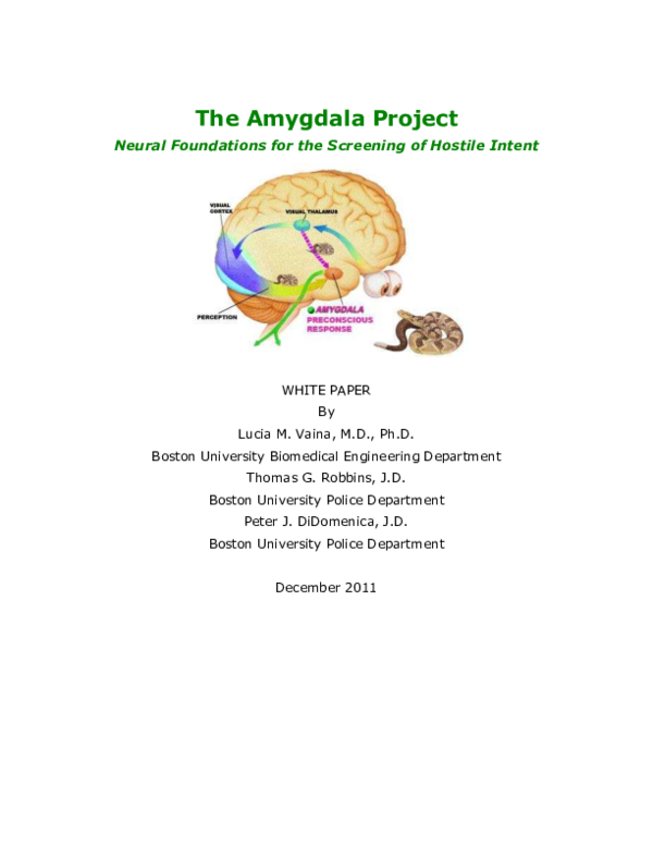 (PDF) The Amygdala Project
