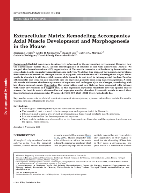 (PDF) Extracellular matrix remodeling accompanies axial muscle ...
