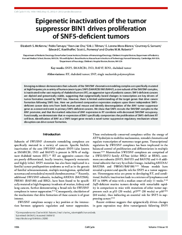 (PDF) Epigenetic inactivation of the tumor suppressor BIN1 drives ...