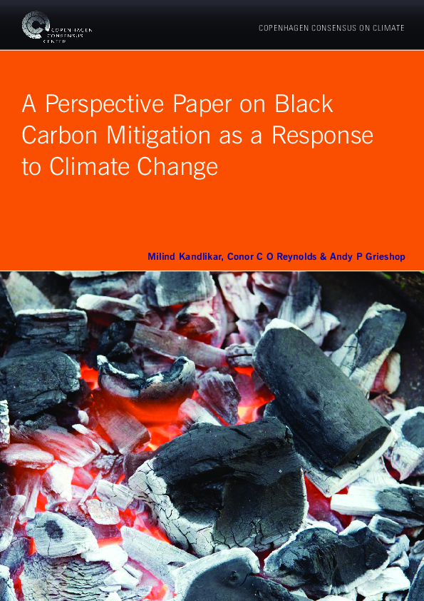 (PDF) A perspective paper on black carbon mitigation as a response to ...