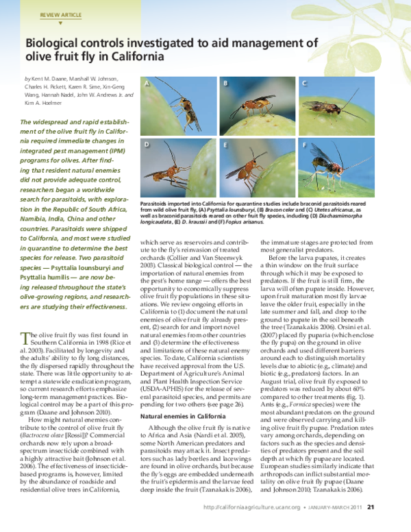 (PDF) Biological controls investigated to aid management of olive fruit
