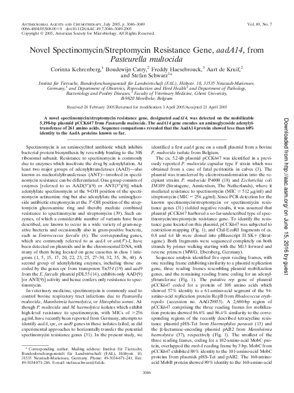 (PDF) Novel Spectinomycin/Streptomycin Resistance Gene, aadA14, from ...