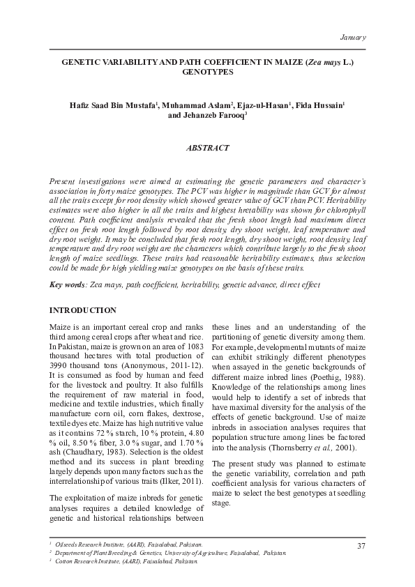 (PDF) GENETIC VARIABILITY AND PATH COEFFICIENT IN MAIZE (Zea mays L ...