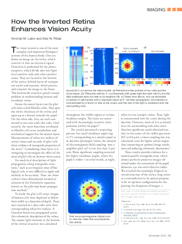 (PDF) How the Inverted Retina Enhances Vision Acuity