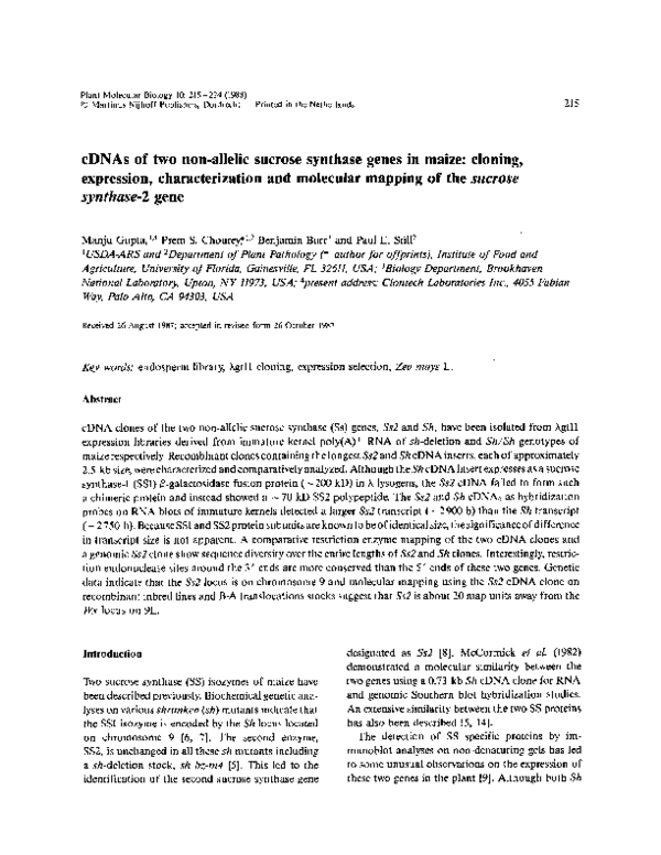 (PDF) cDNAs of two non-allelic sucrose synthase genes in maize: cloning ...