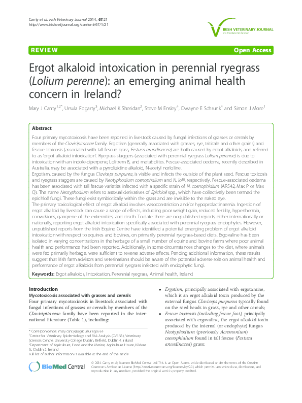 Ergot essay 07 picture