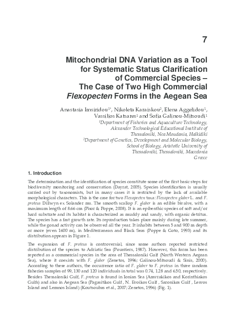 Mito case study essay 06 image