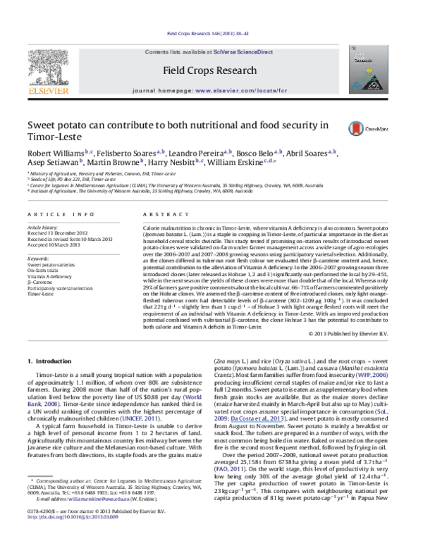 Paper potato bags for sale picture