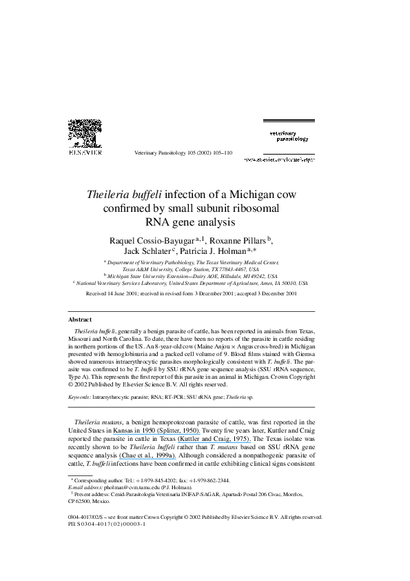 (PDF) Theileria buffeli infection of a Michigan cow confirmed by small ...