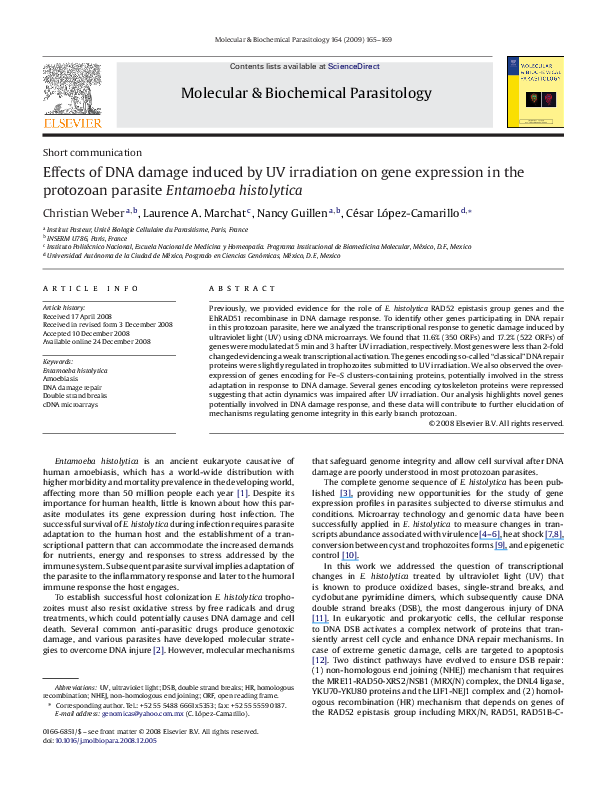 (PDF) Effects of DNA damage induced by UV irradiation on gene ...