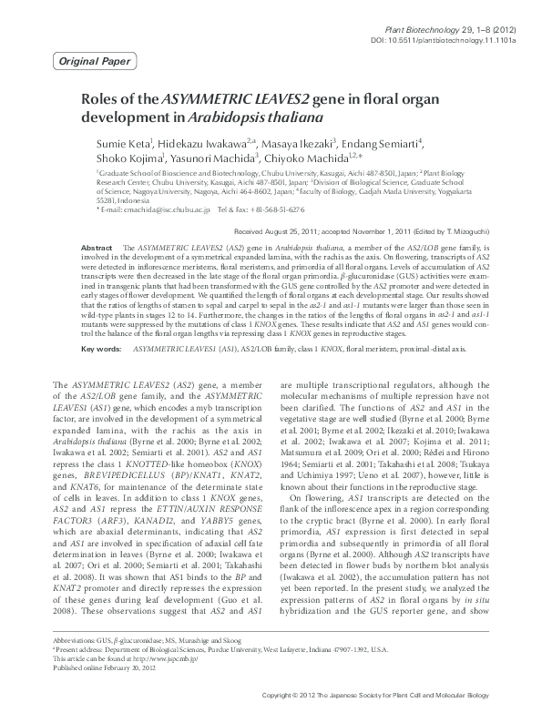 Arabidopsis thaliana seeds image