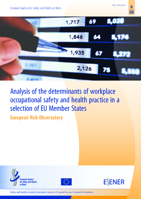 (PDF) Analysis of the determinants of workplace occupational safety and ...