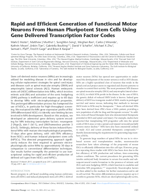 (PDF) Rapid and Efficient Generation of Functional Motor Neurons From ...