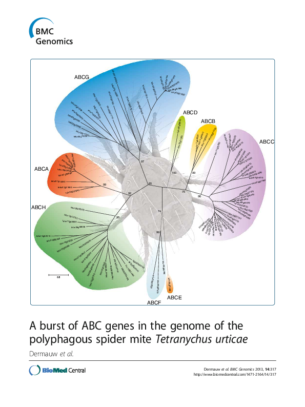 (PDF) A burst of ABC genes in the genome of the polyphagous spider mite ...