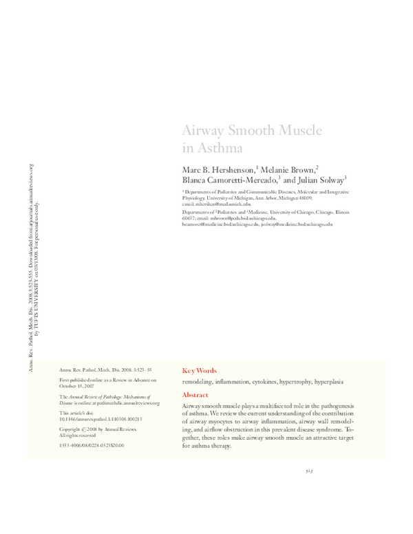 (PDF) Airway Smooth Muscle in Asthma