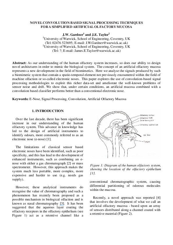 Olfactory sensory system image