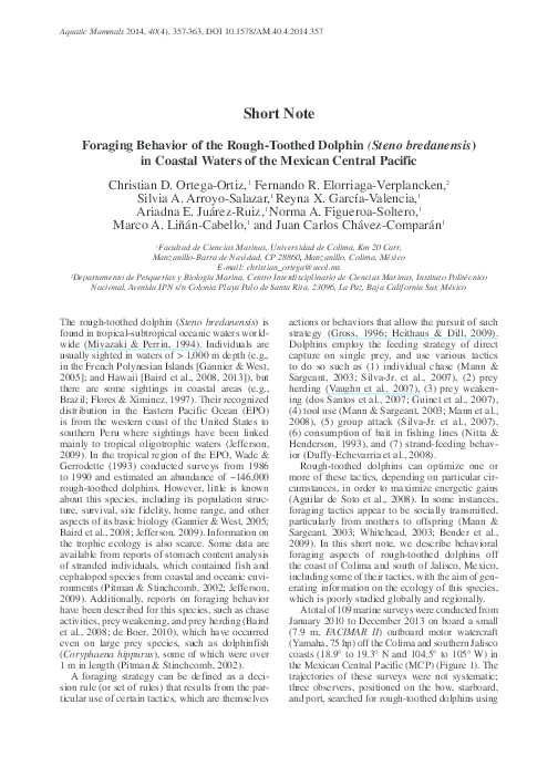 Types of foraging image