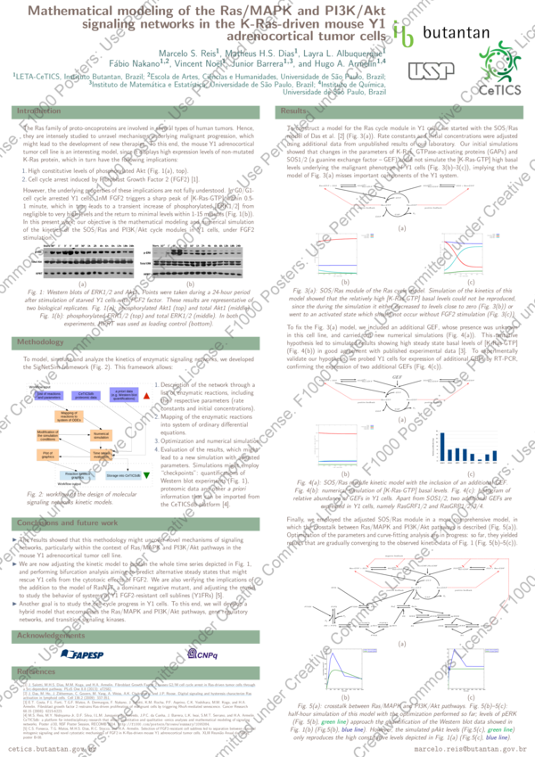 (PDF) Mathematical modeling of the Ras/MAPK and PI3K/AKT signaling ...