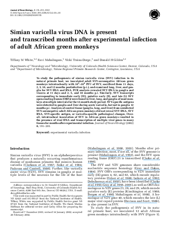 (PDF) Simian varicella virus DNA is present and transcribed months ...