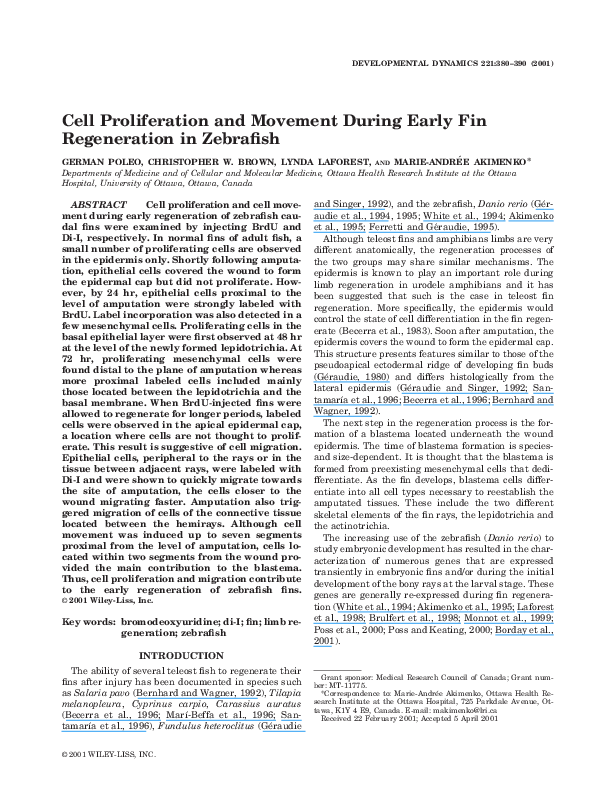 Essay on fin 380 04 image