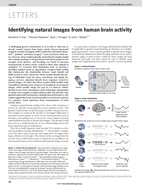 (PDF) Identifying natural images from human brain activity