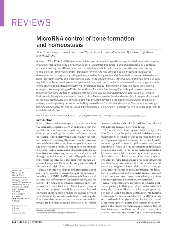 (PDF) MicroRNA control of bone formation and homeostasis