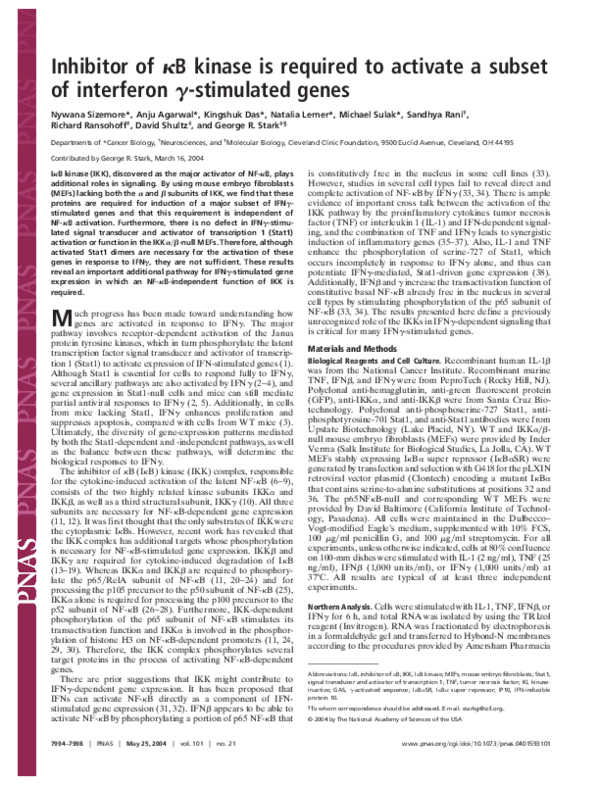 (PDF) Inhibitor of B kinase is required to activate a subset of ...