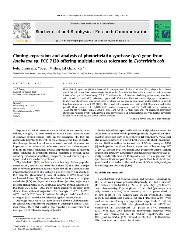(PDF) Cloning expression and analysis of phytochelatin synthase (pcs ...