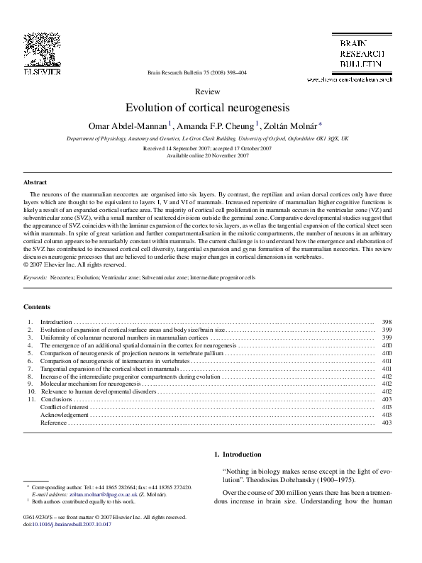 (PDF) Evolution of cortical neurogenesis