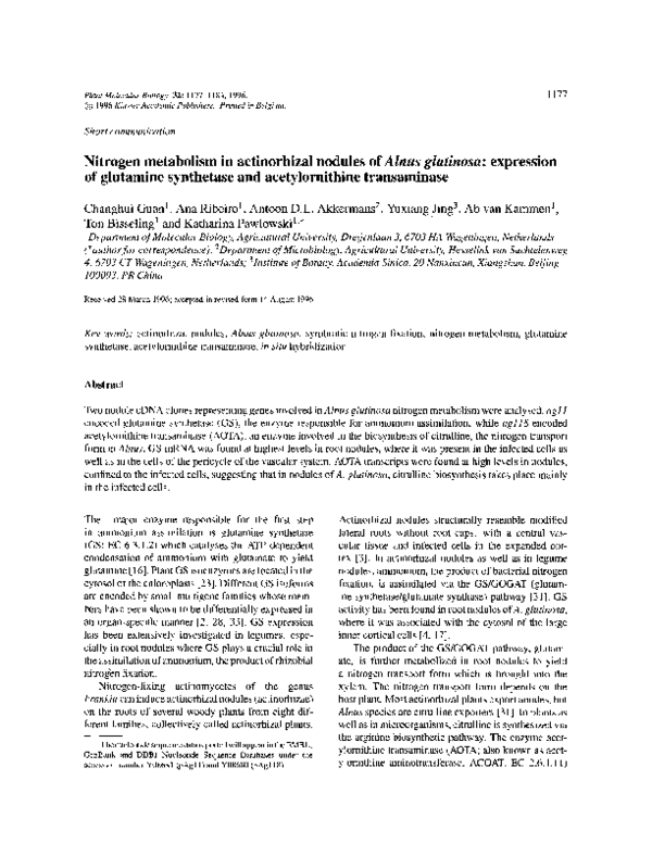 (PDF) Nitrogen metabolism in actinorhizal nodules of Alnus glutinosa