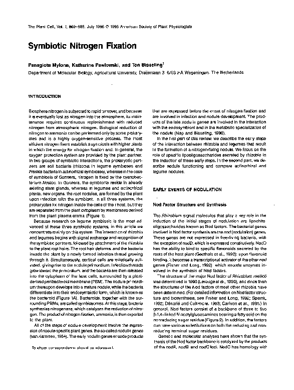 (PDF) Symbiotic nitrogen fixation