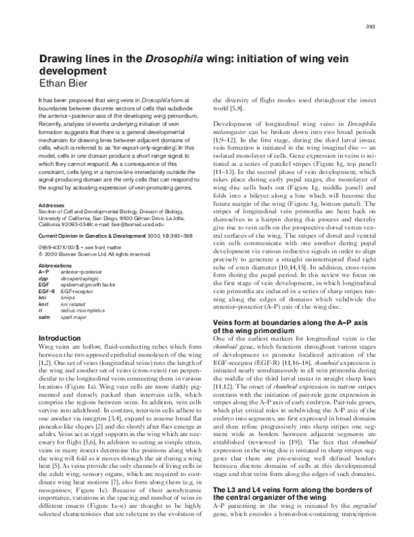(PDF) Drawing lines in the Drosophila wing: initiation of wing vein ...