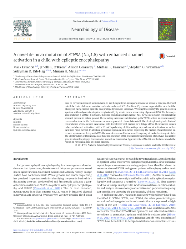 (PDF) A novel de novo mutation of SCN8A (Nav1.6) with enhanced channel ...